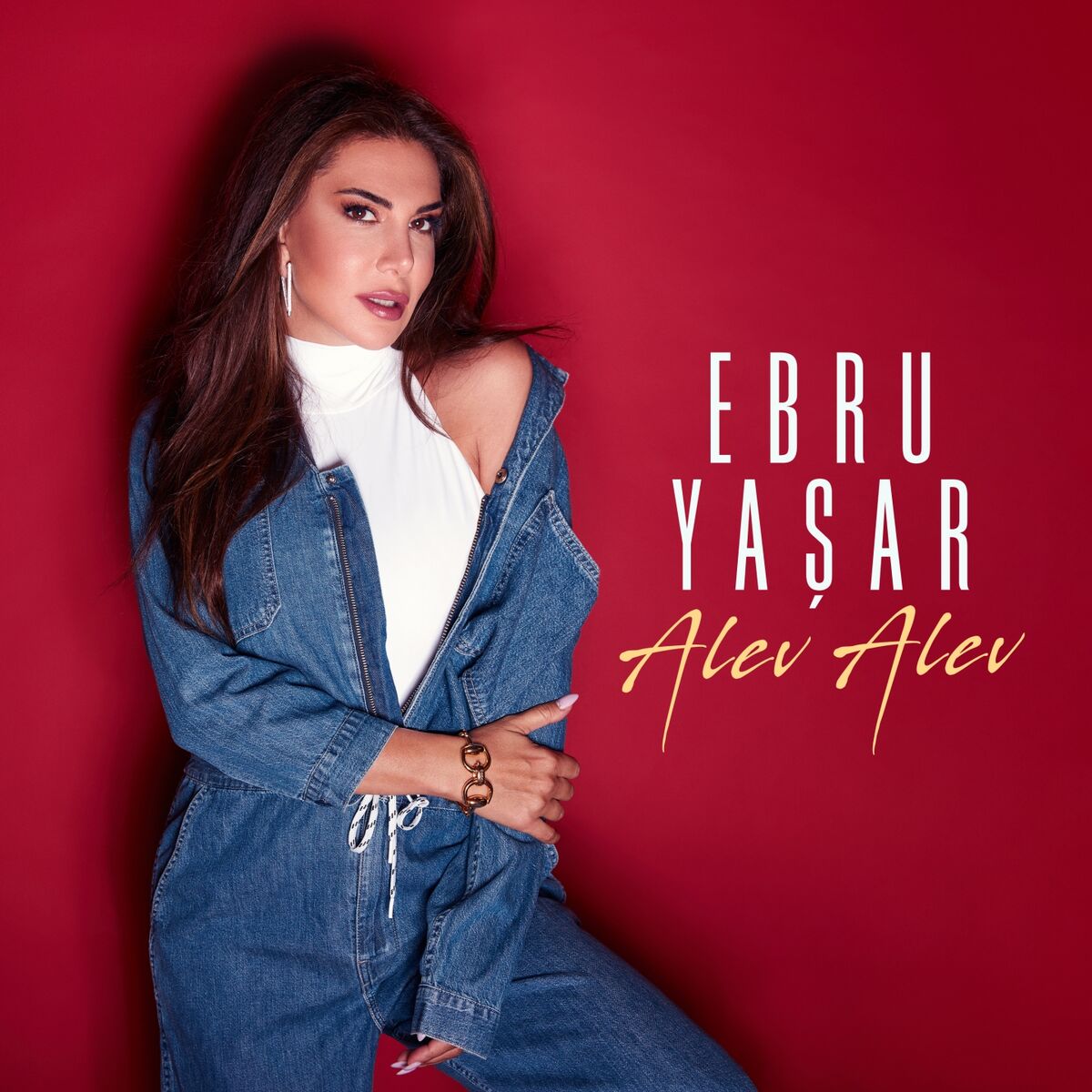 Album cover of Alev Alev