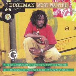 Cover of Most Wanted