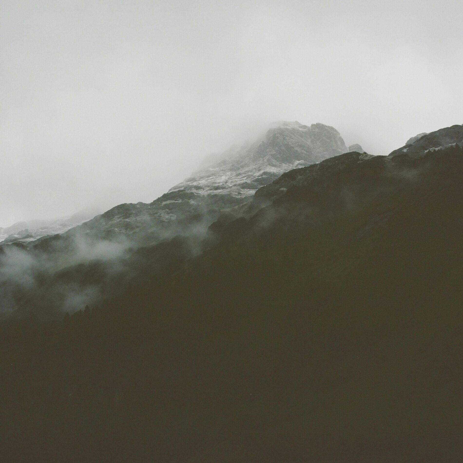 Album cover of Echoes