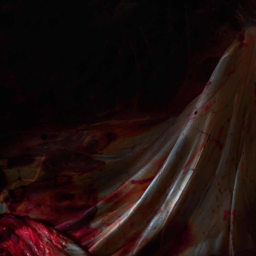 Picture of XXVI Crimes Of Love