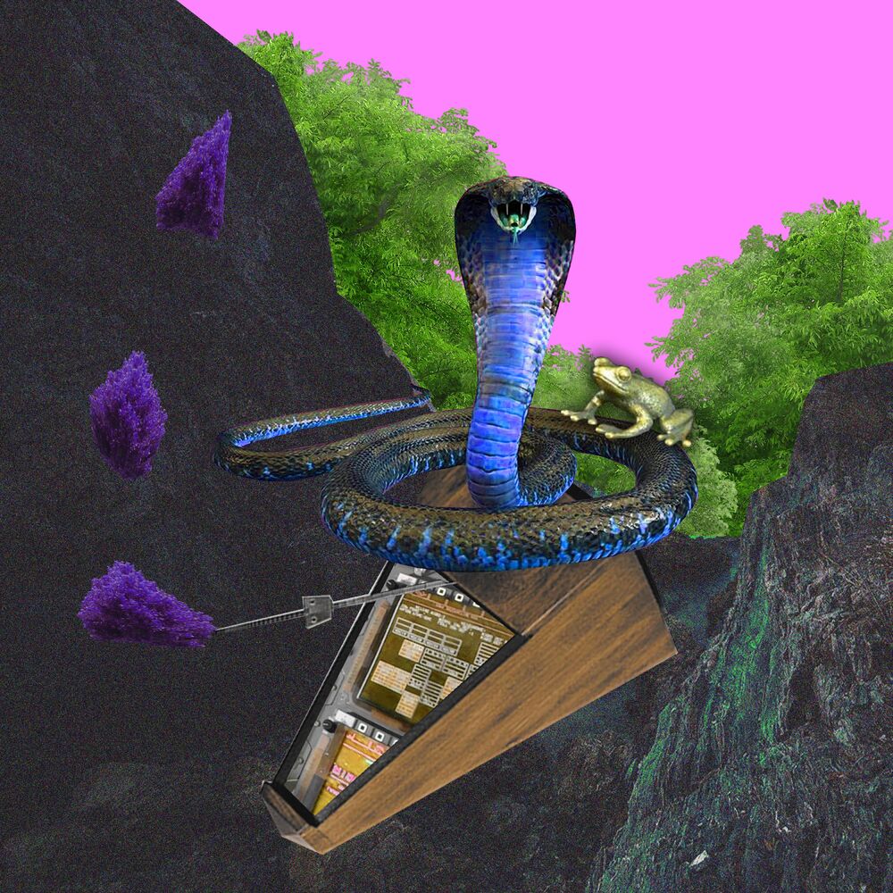 Picture of Le repas du cobra