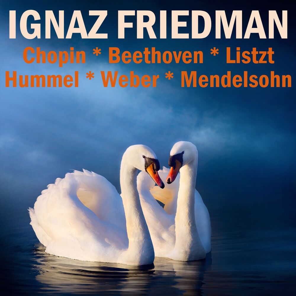 Picture of Chopin, Beethoven, Liszt, Hummel, Weber & Mendelssohn
