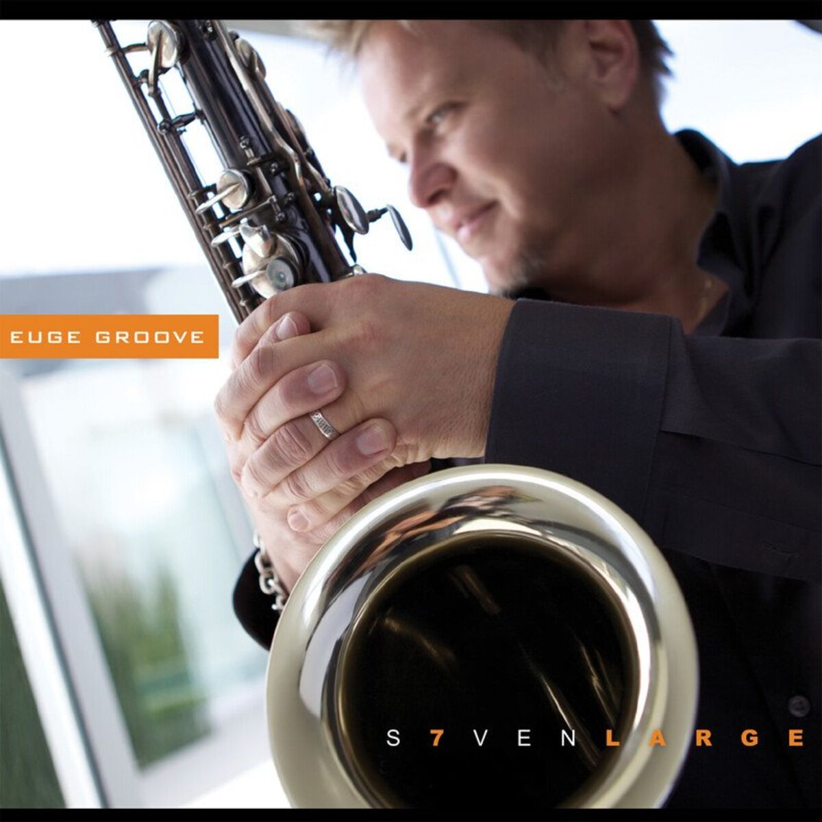 Album cover of Seven Large