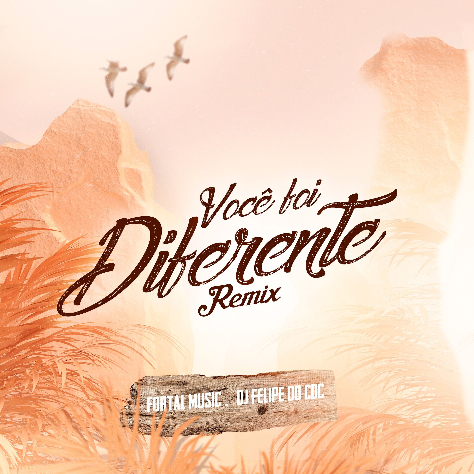 Album cover of Você Foi Diferente (Remix)