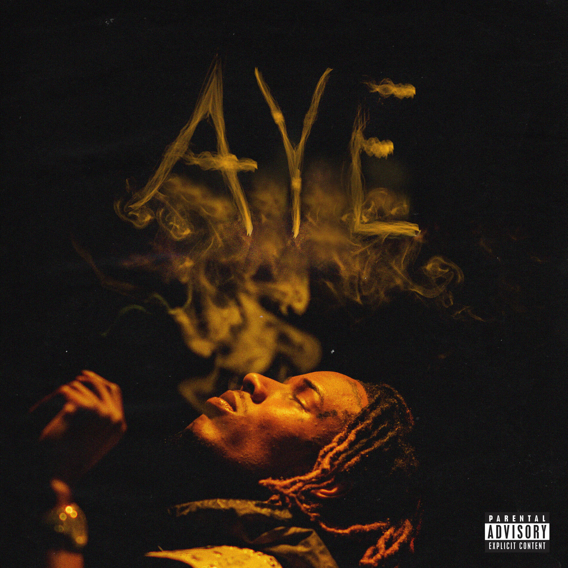 Album cover of Aye