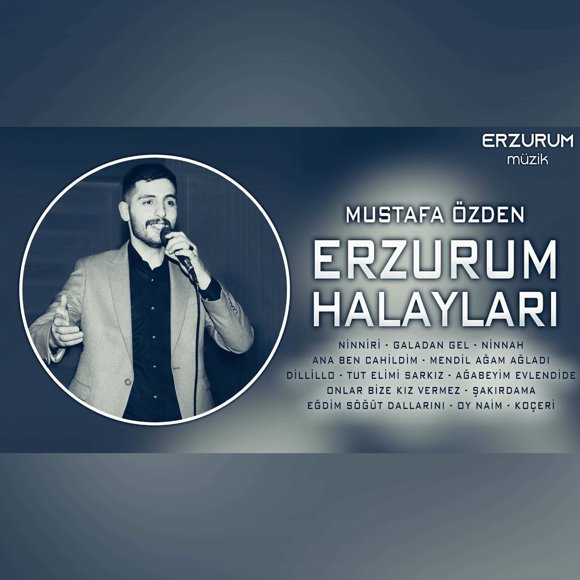Album cover of Erzurum Halayları (Galadan Gel, Ninnah, Dillillo, Kapıda Kavun Yerler, Oy Naim)