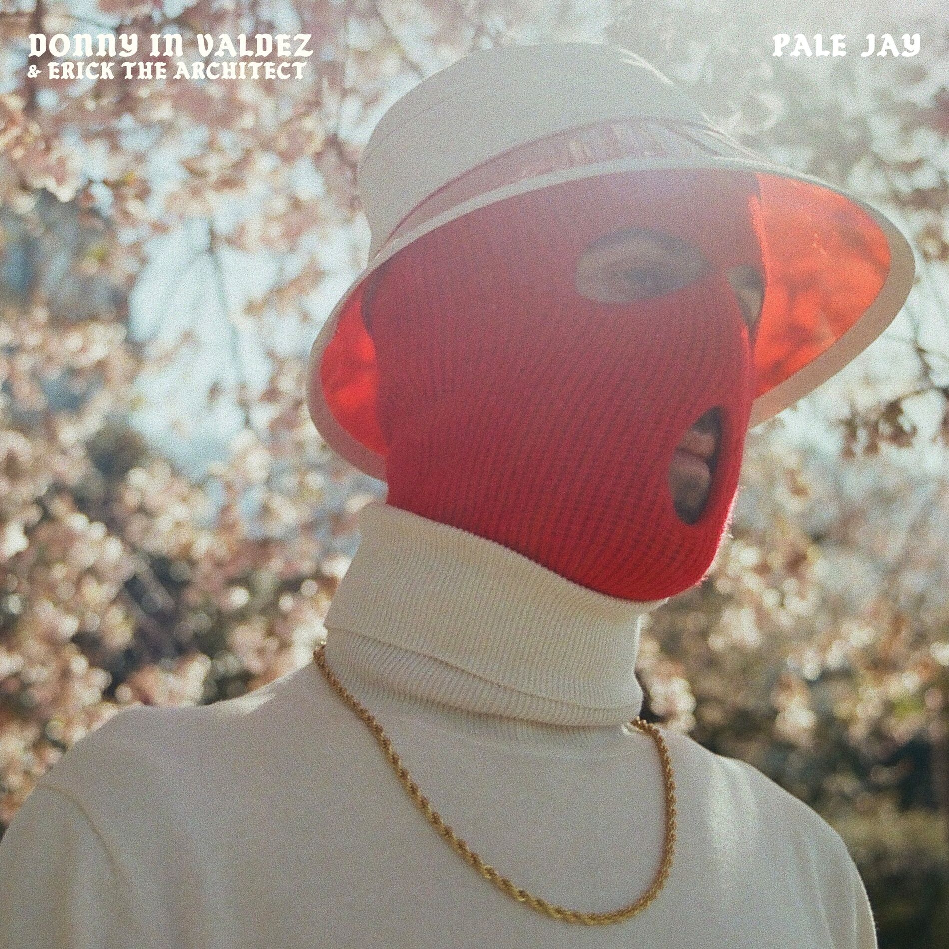 Album cover of Donny In Valdez (PJ's Flip)