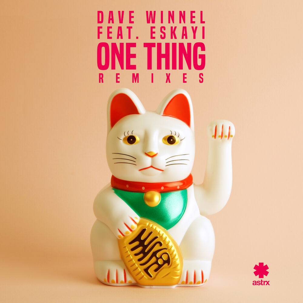 Picture of One Thing (Remixes)