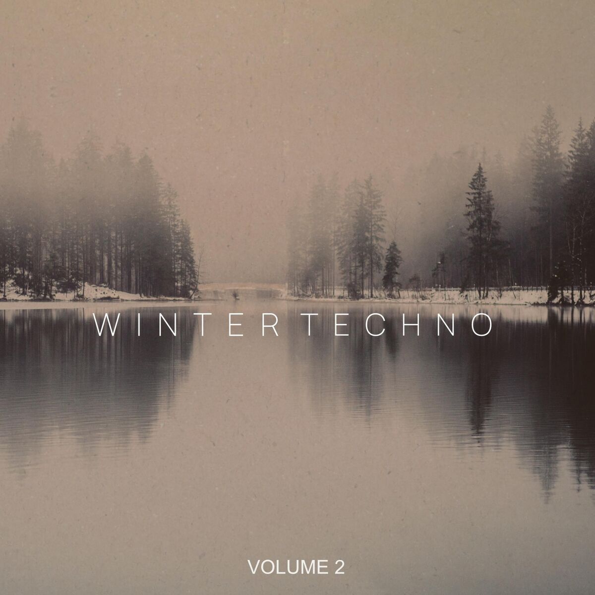 Album cover of Winter Techno, Vol. 2