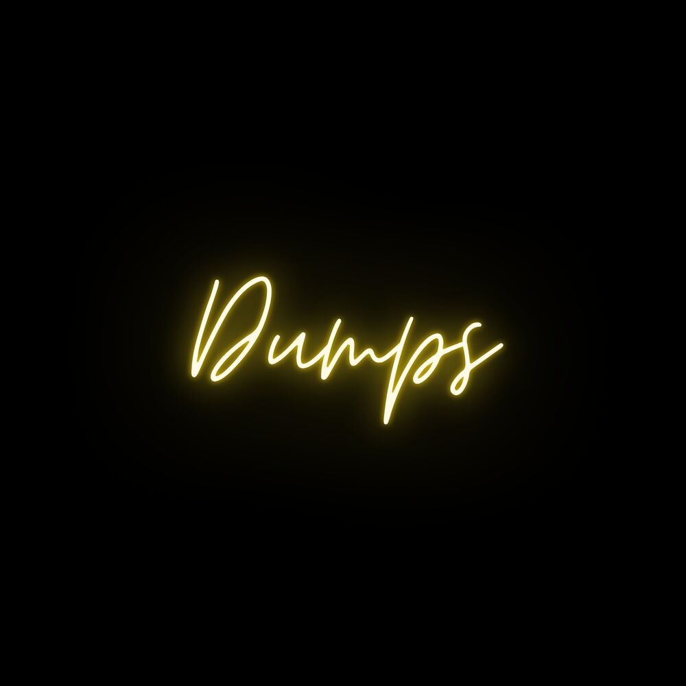 Picture of Dumps