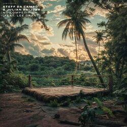 Cover of No Competition