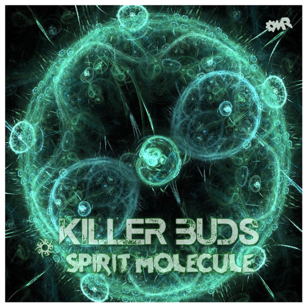 Picture of Spirit Molecule