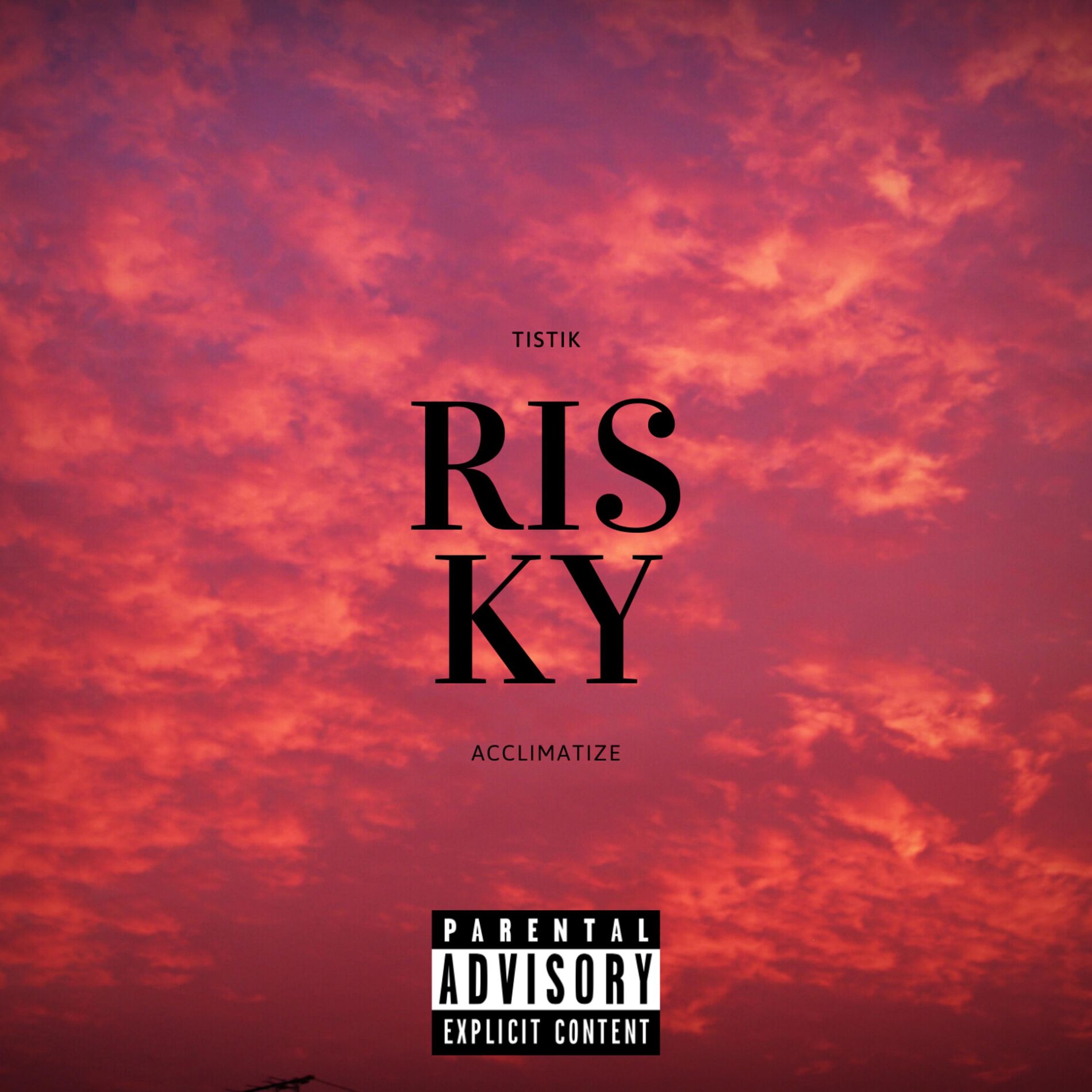 Album cover of Risky