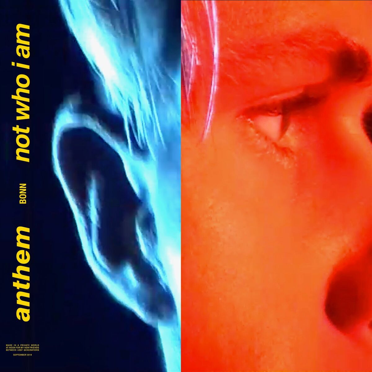 Album cover of ANTHEM