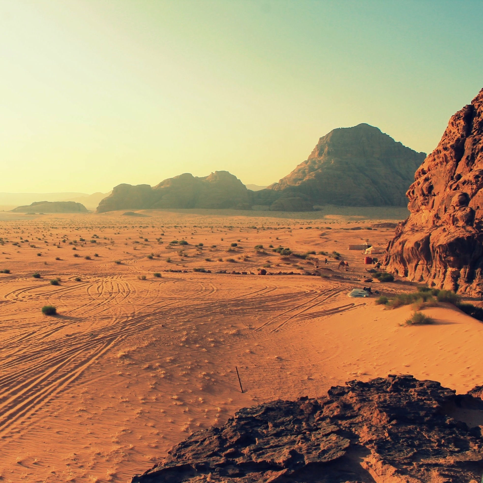 Album cover of Paracas