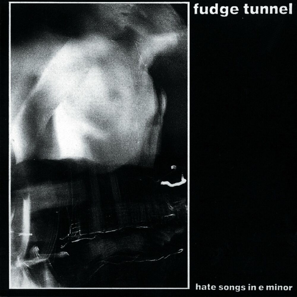 Picture of Hate Songs in E Minor