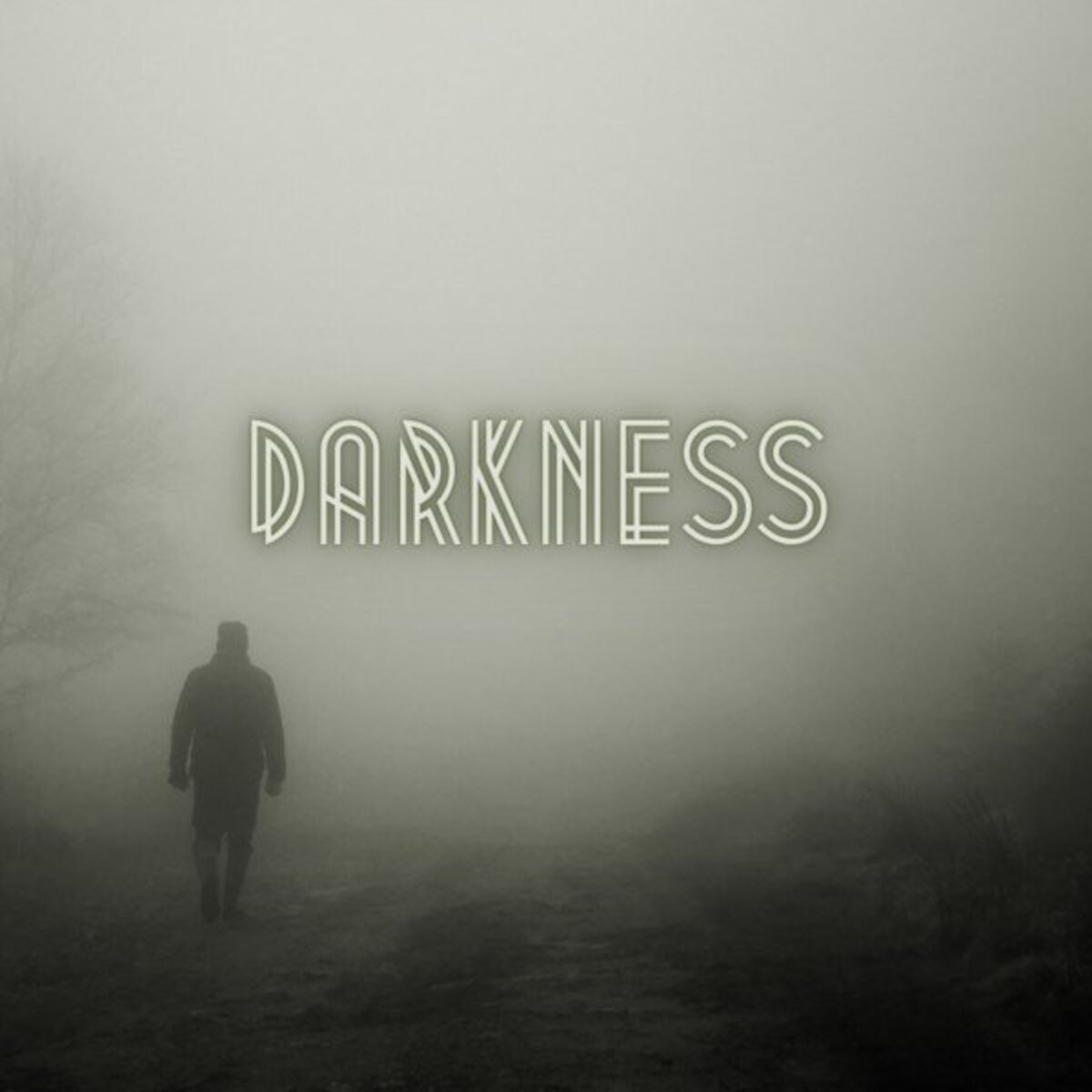 Album cover of Darkness