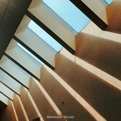 Cover of Midnight Mood