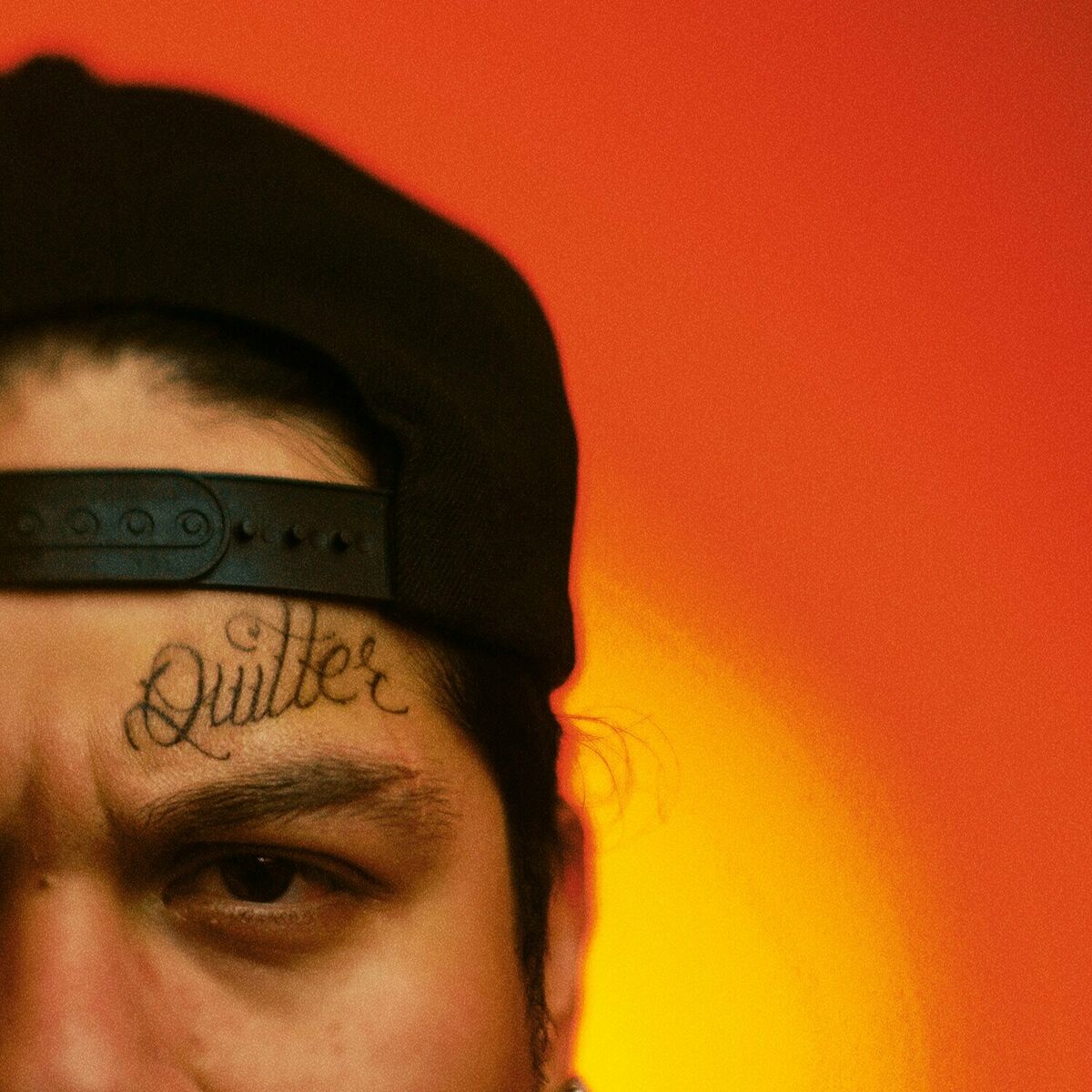 Album cover of Quitter