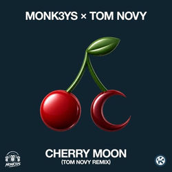 Cherry Moon (Tom Novy Remix)