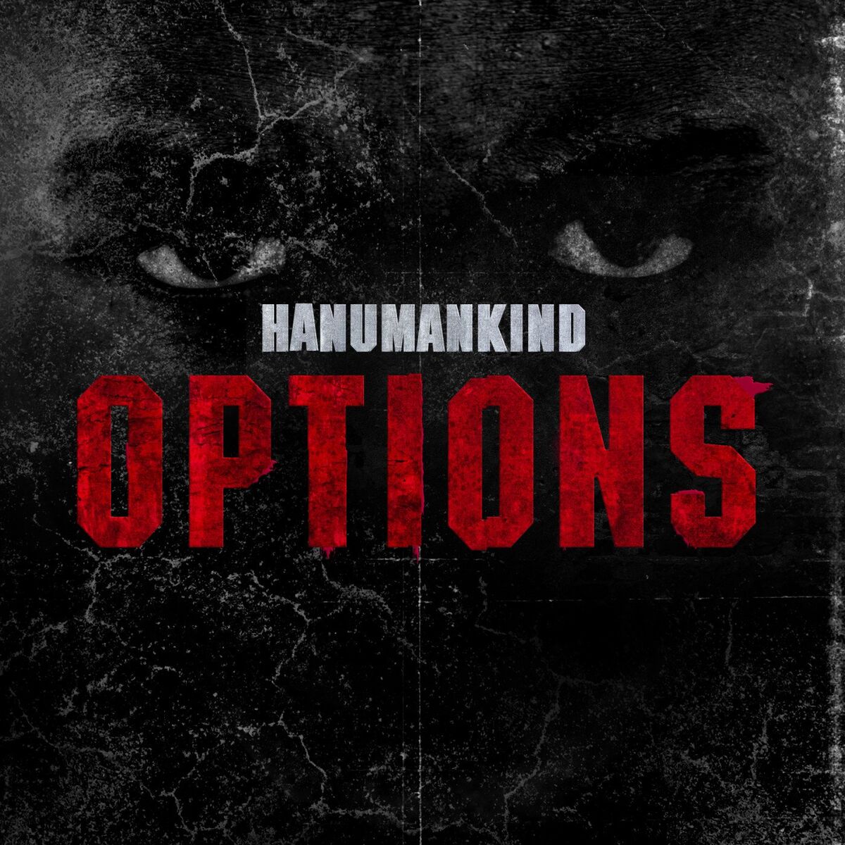 Album cover of Options