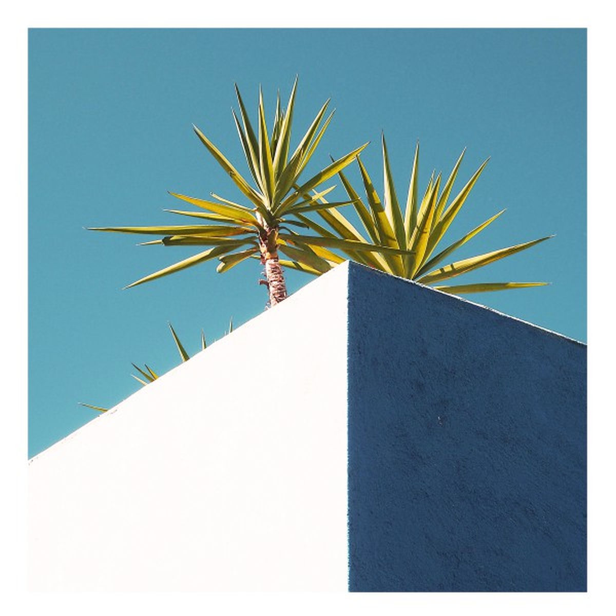 Album cover of Blue Shades