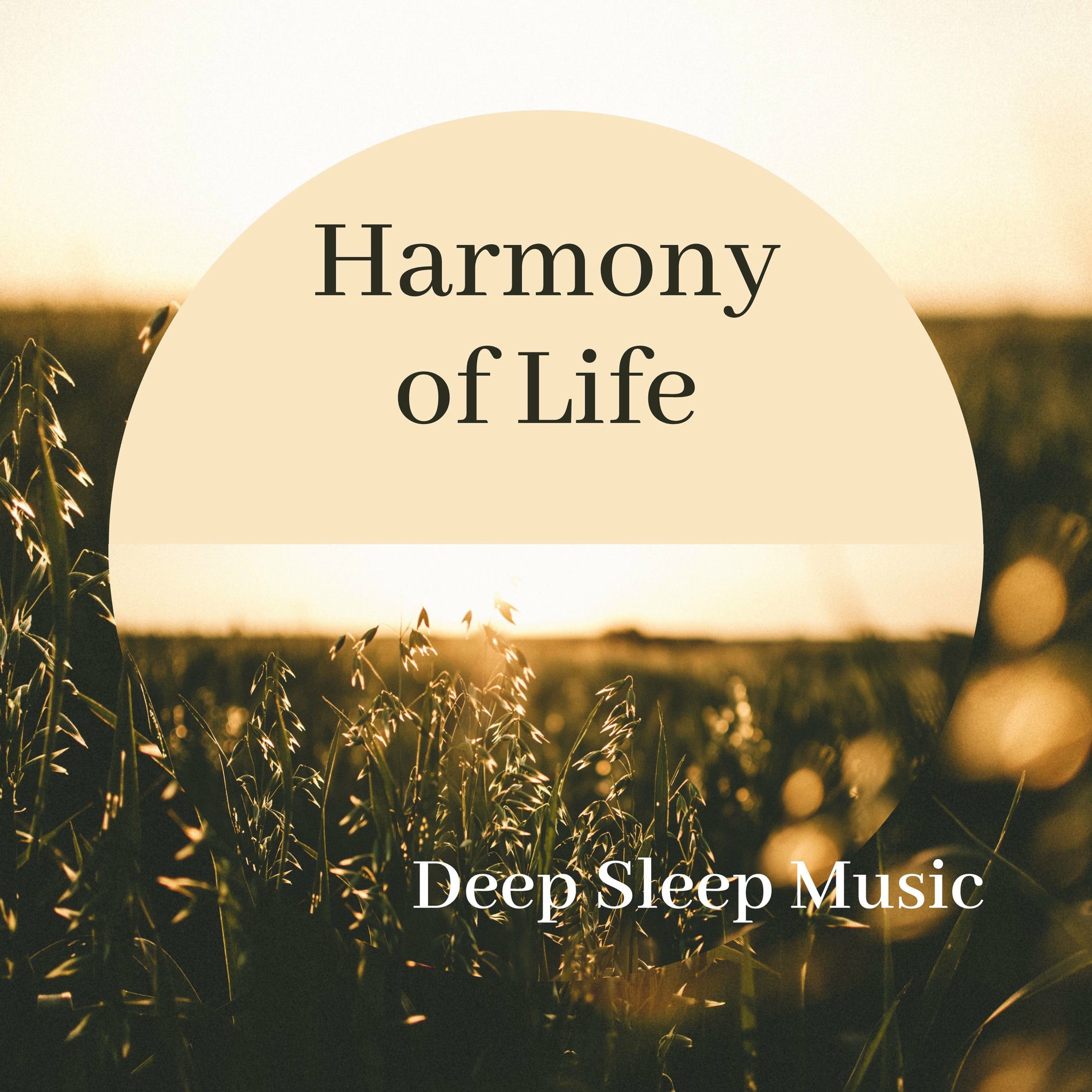 Album cover of Harmony of Life - Deep Sleep Music