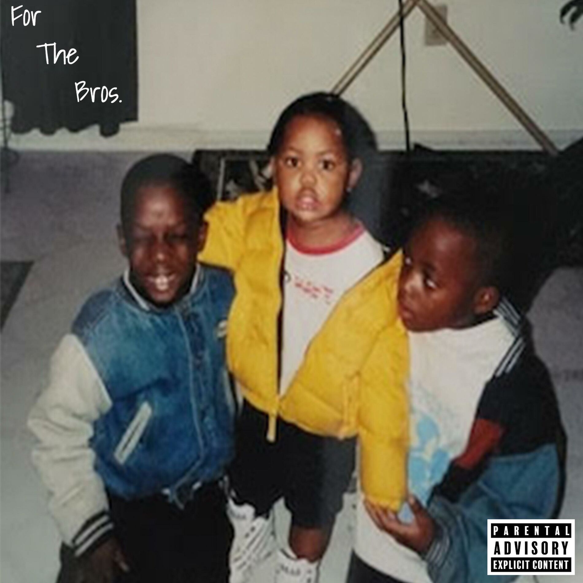 Album cover of For The Bros.