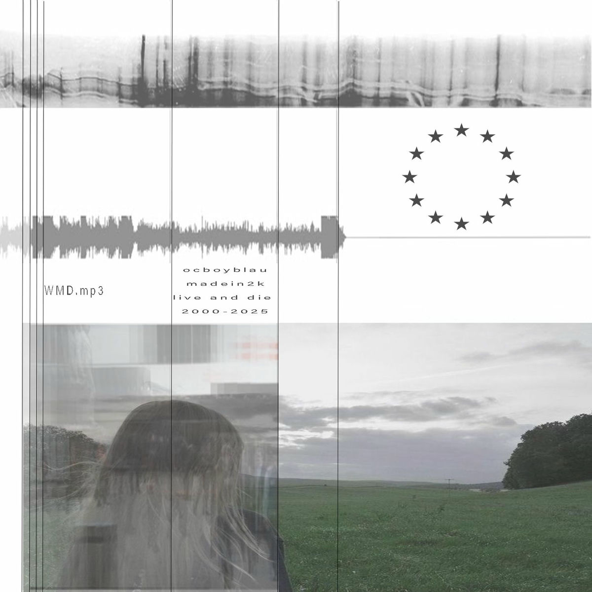 Album cover of wmd