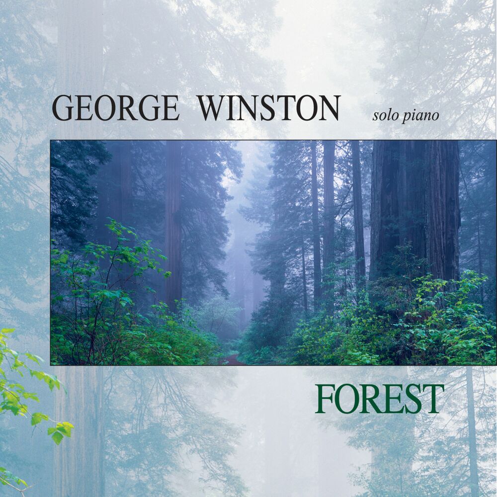 Picture of Forest