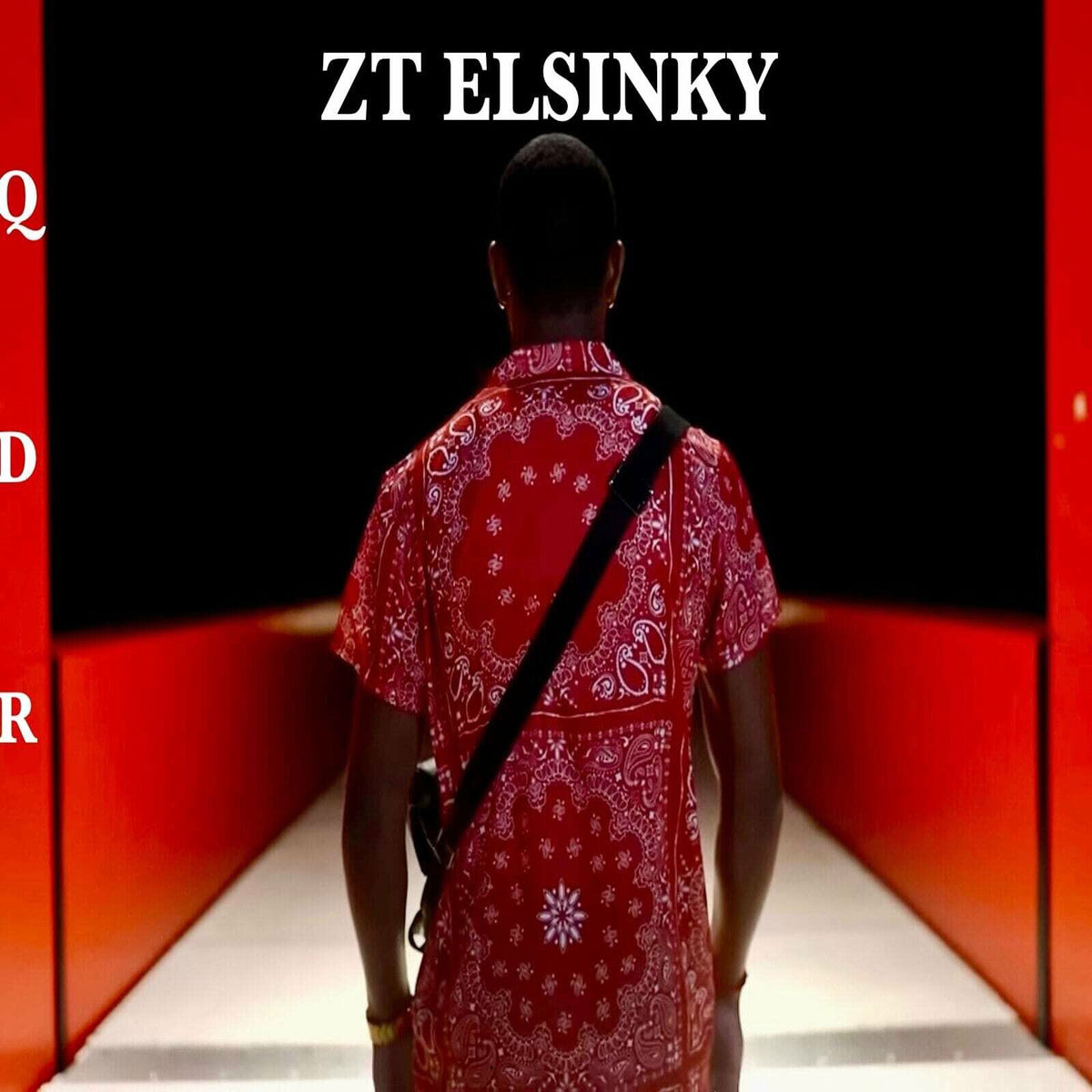Album cover of QDR