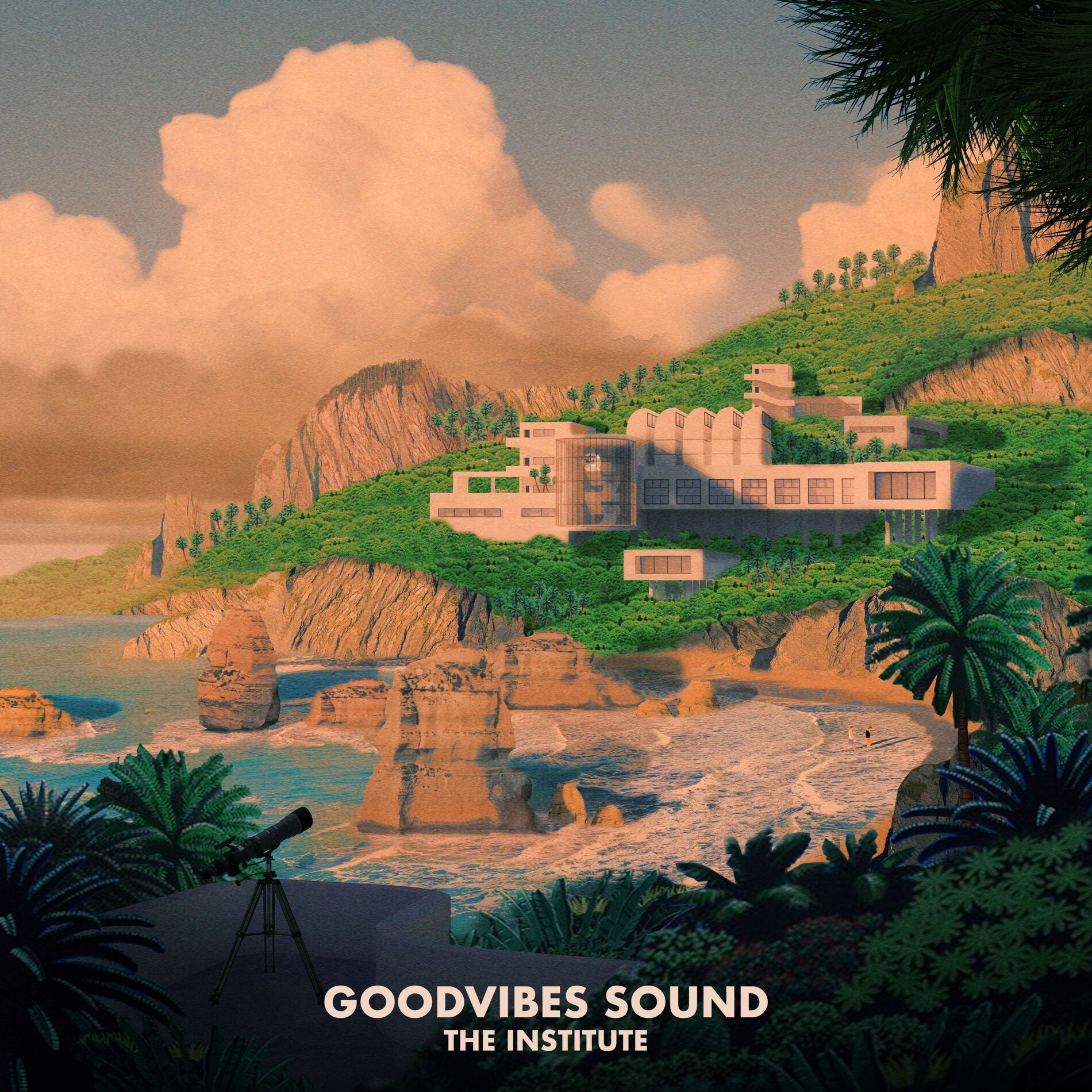 Album cover of The Institute