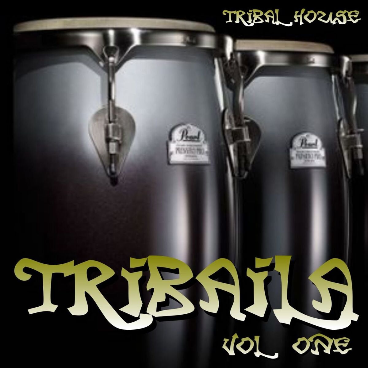 Album cover of Tribaila - Tribal House, Vol. 1