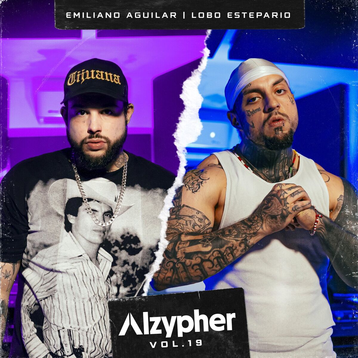 Album cover of Alzypher Vol. 19