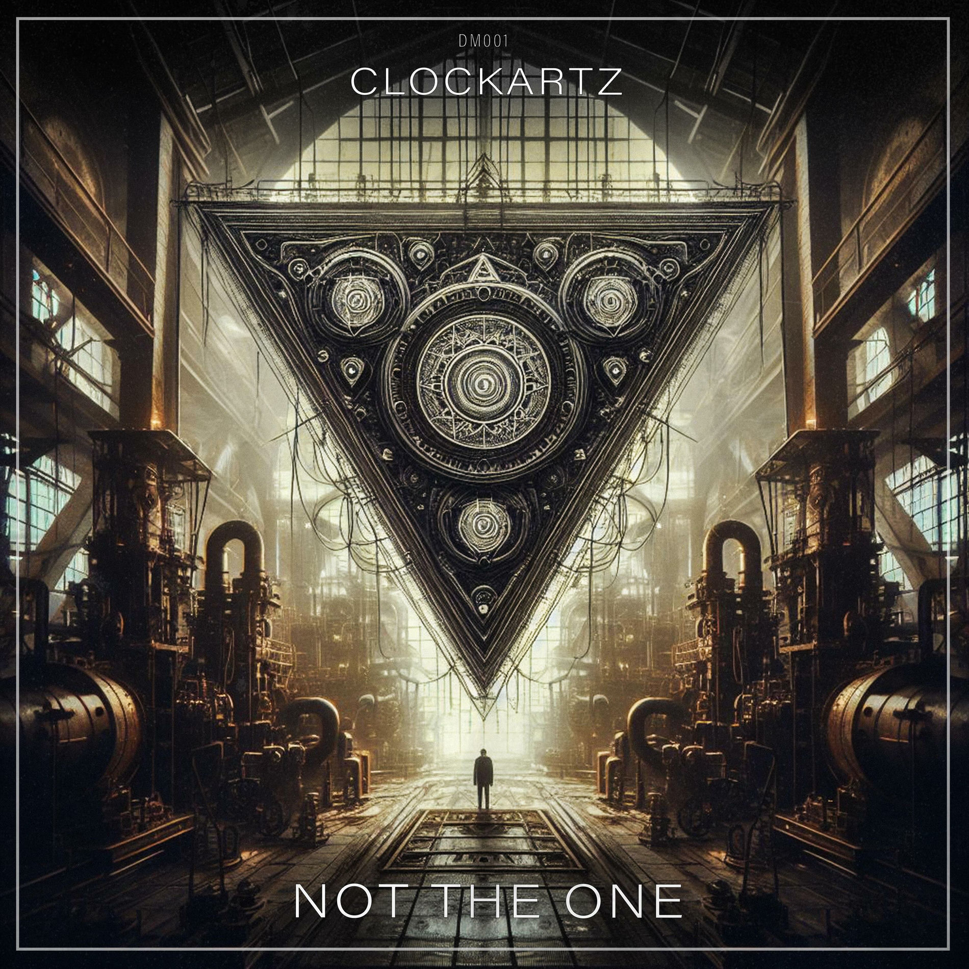 Album cover of Not The One