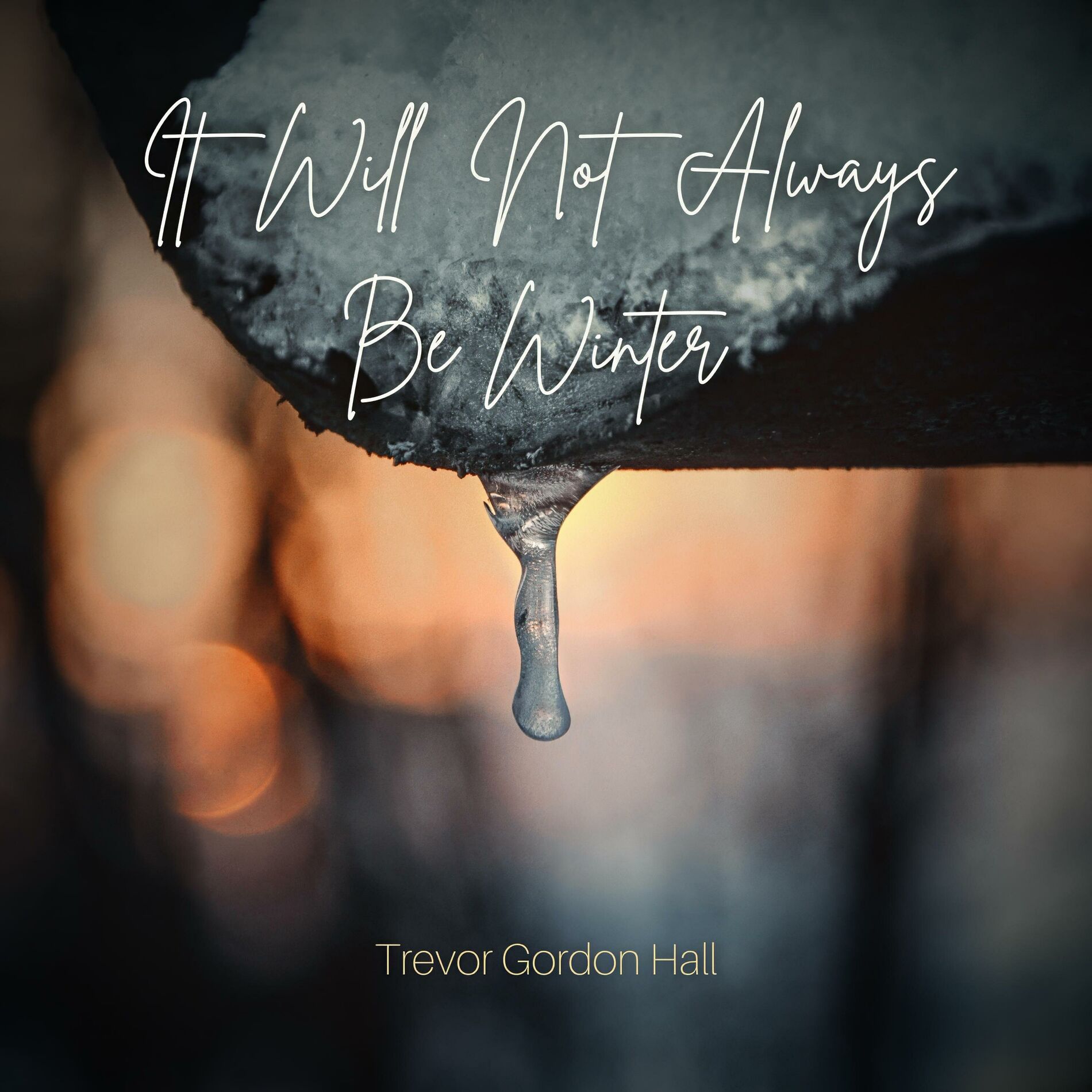 Album cover of It Will Not Always Be Winter