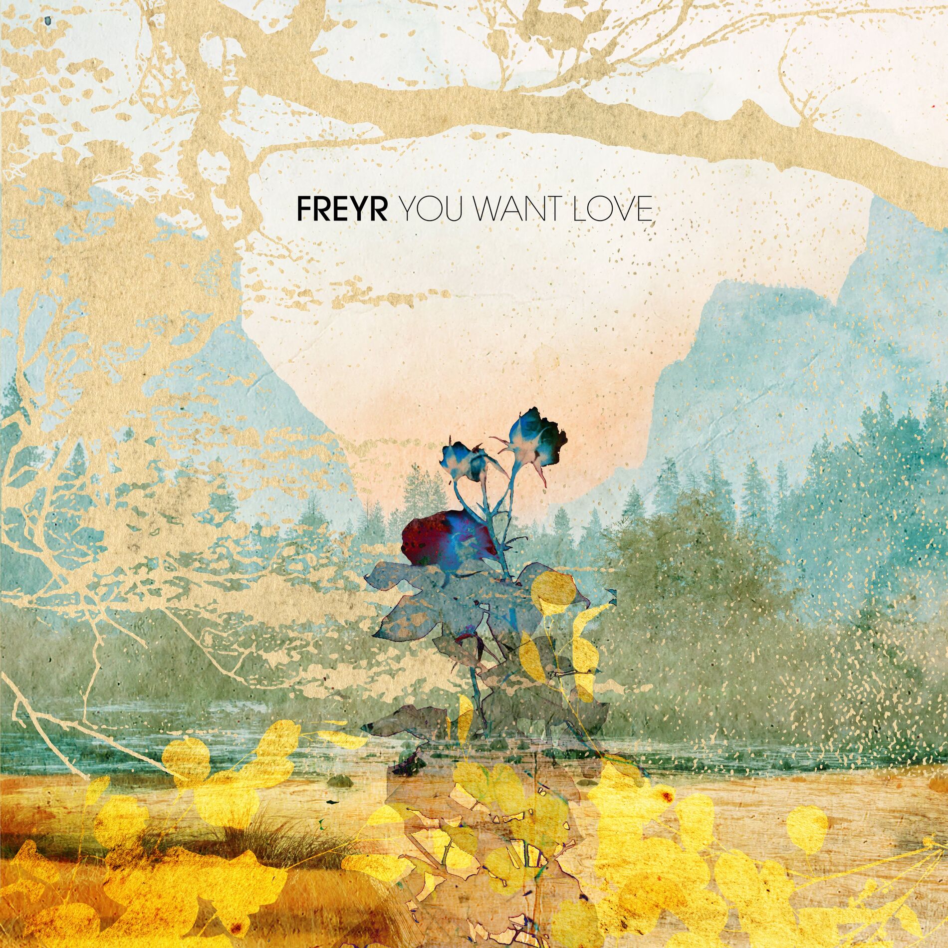 Album cover of You Want Love