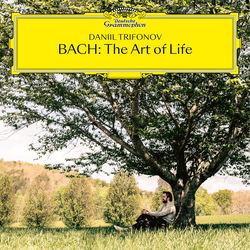J.S. Bach: [Polonaise] in D Minor, BWV Anh. 128 (Notebook for Anna Magdalena Bach, 1725) album cover