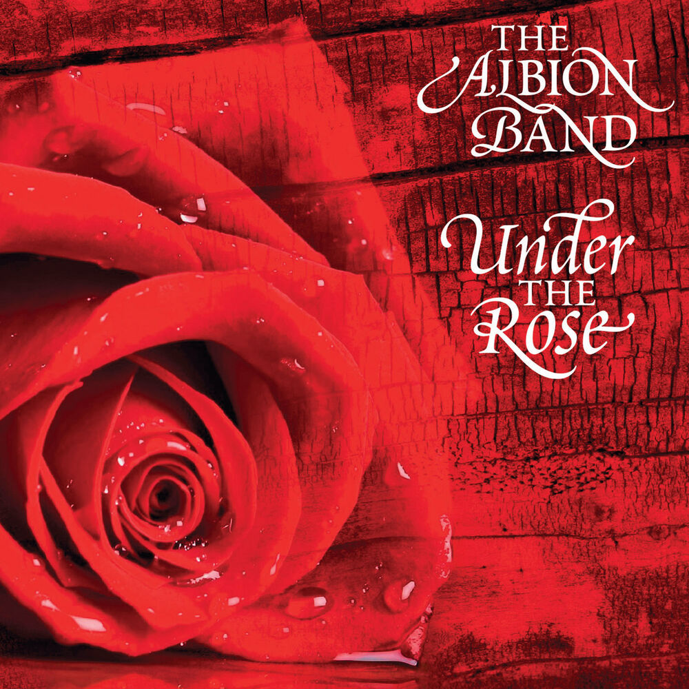 Picture of Under the Rose