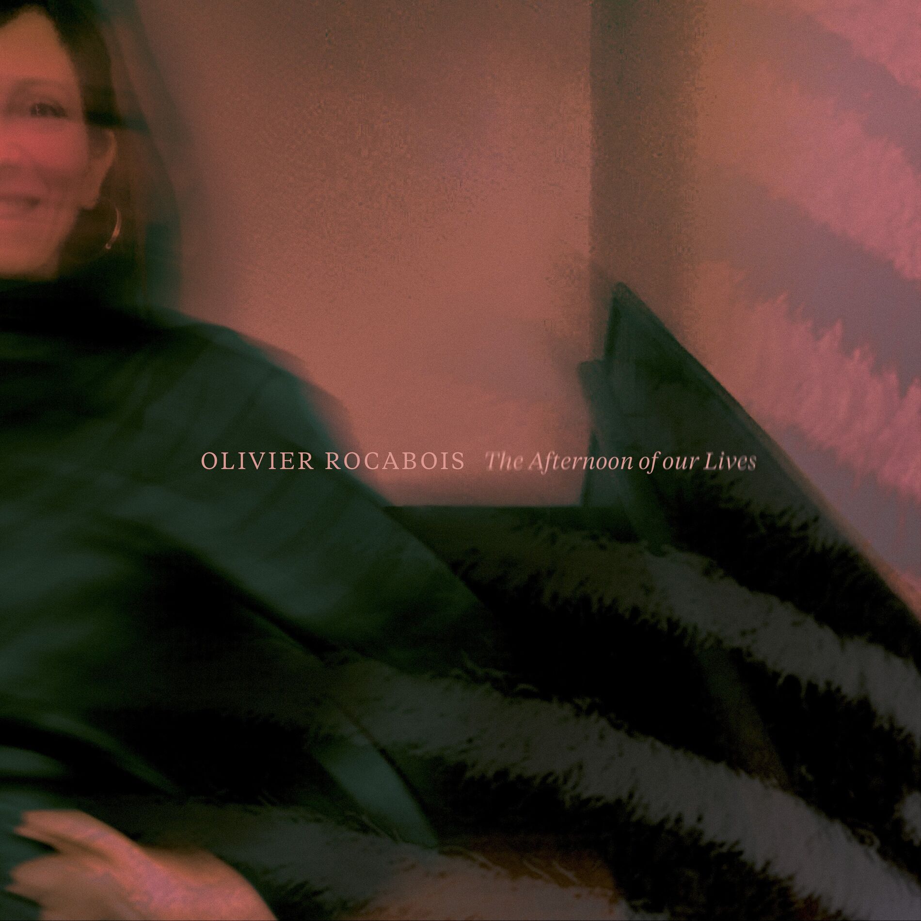 Album cover of The Afternoon of our Lives