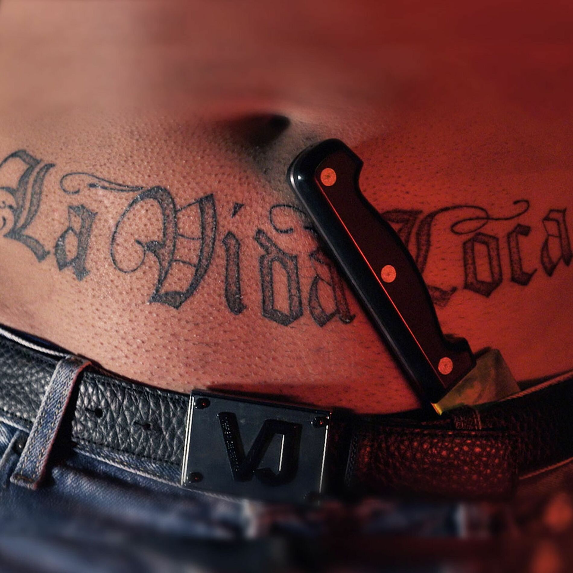 Album cover of La Vida Loca
