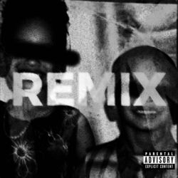 Cover of REVOLUTION (remix)