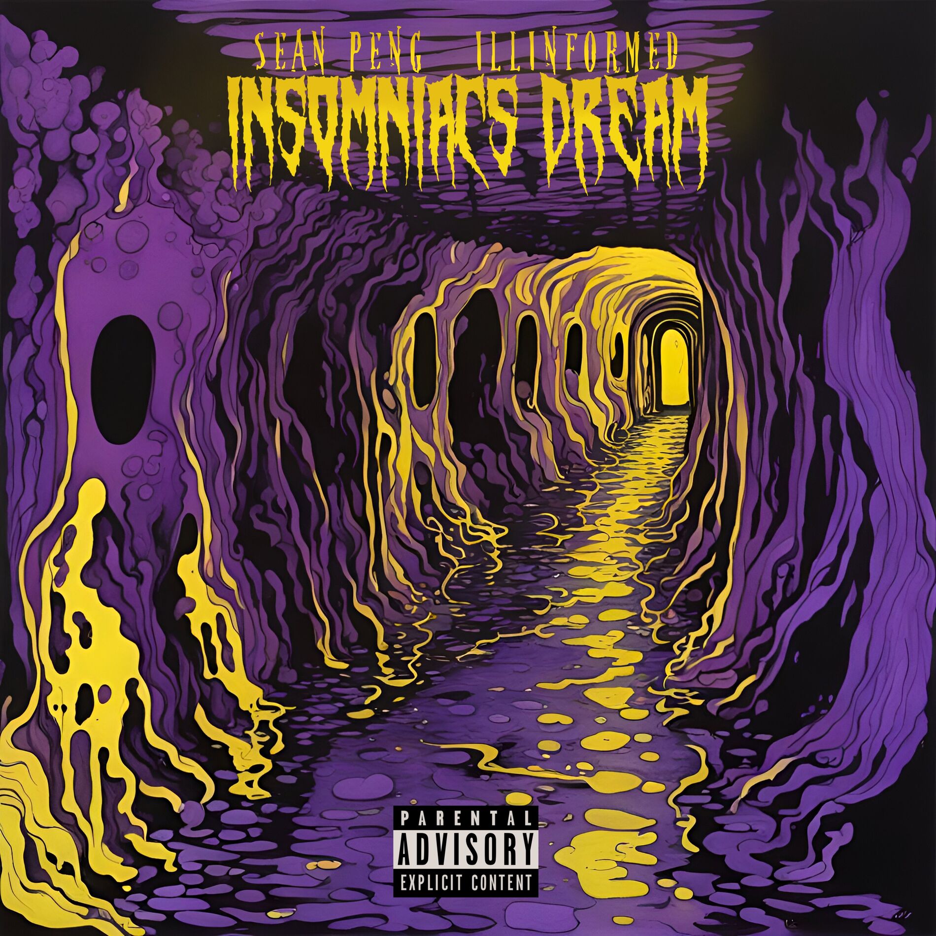 Album cover of Insomniacs Dream