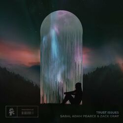 Cover of Trust Issues