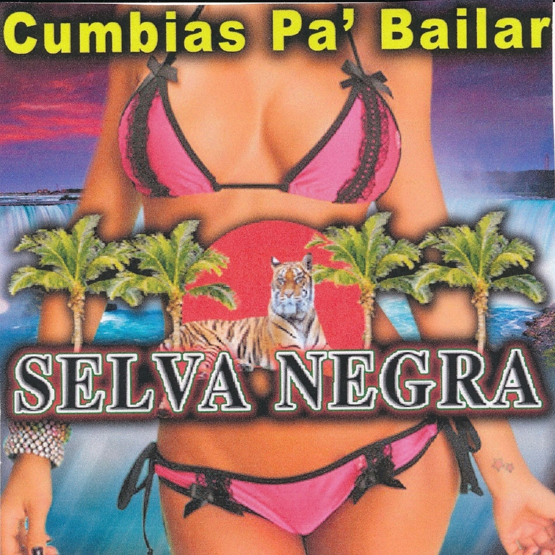 Album cover of Cumbias Pa' Bailar