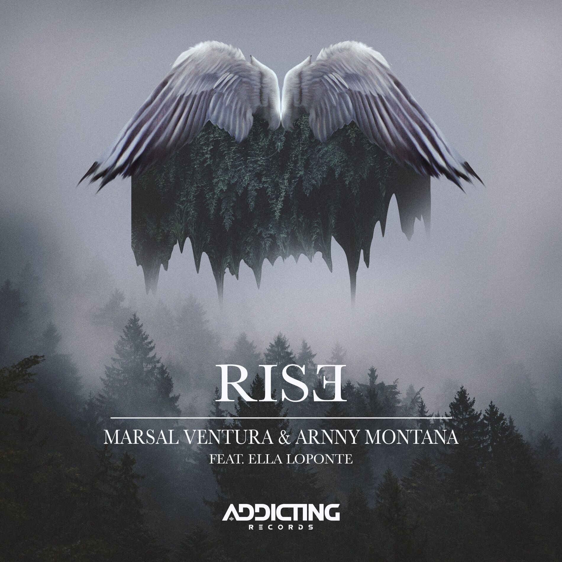 Album cover of Rise (Radio Edit)