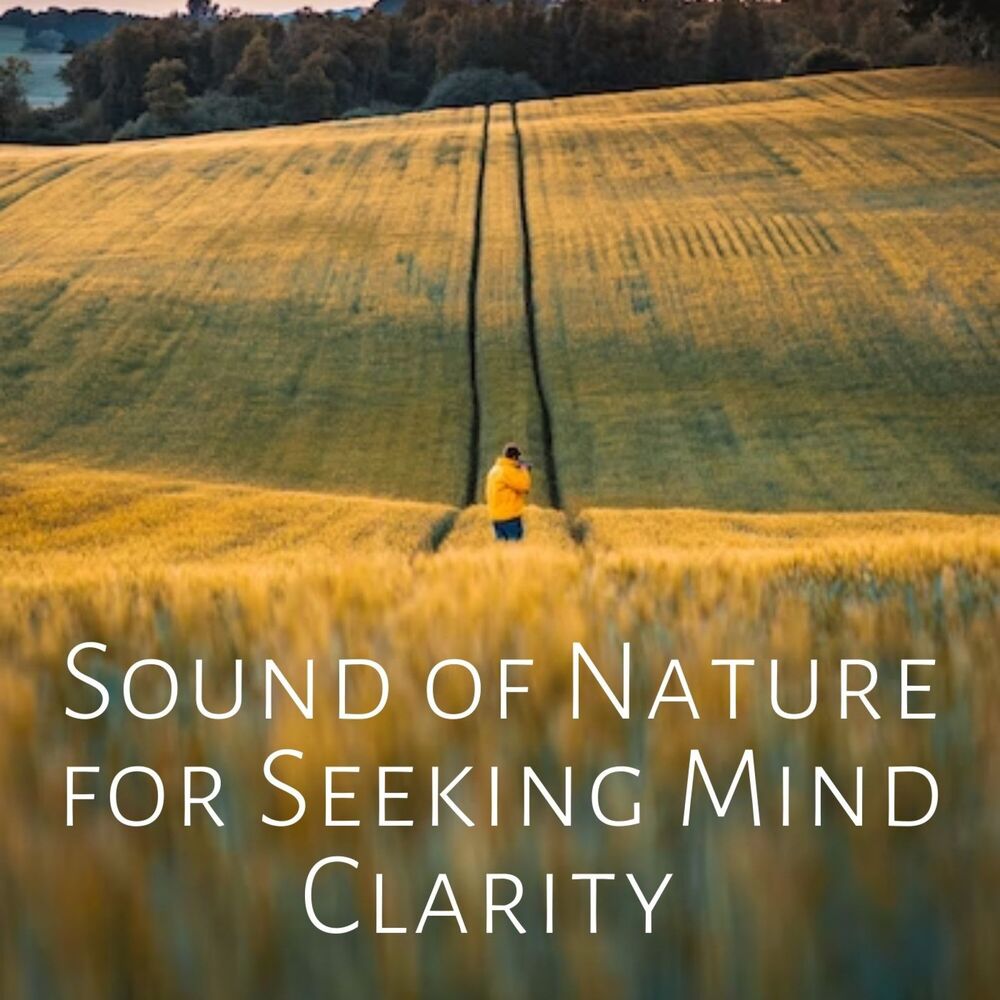 Picture of Sound of Nature for Seeking Mind Clarity