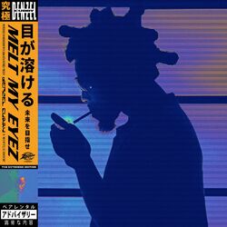 Cover of Melt My Eyez See Your Future (The Extended Edition)