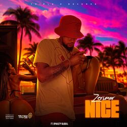 Cover of Nice