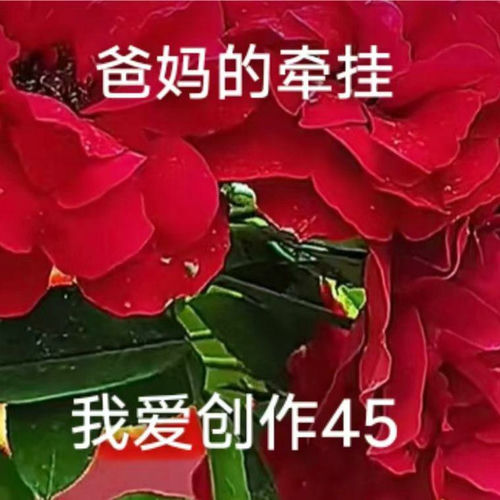 爸妈的牵挂